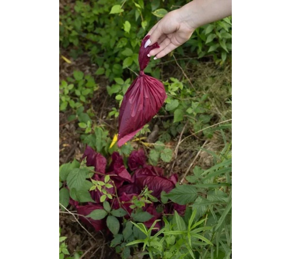 Plant Based Compostable Waste Bags - 6 Rolls - 60 Bags