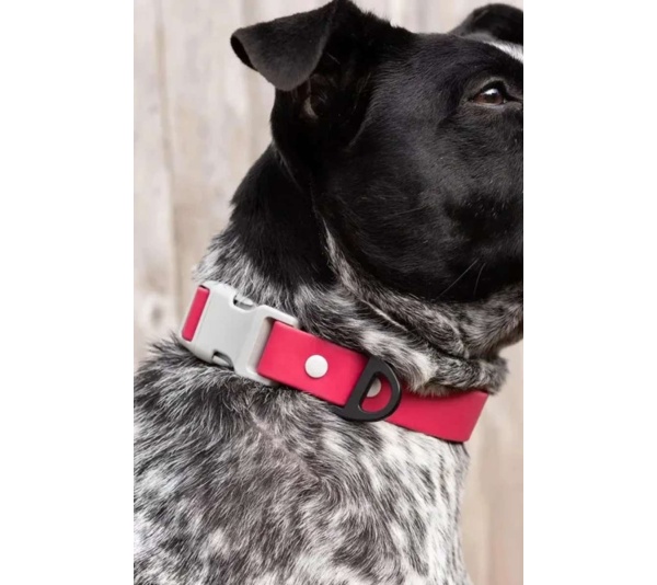 Red Mountain Syrah Waterproof Dog Collar - 15 - 17 inch