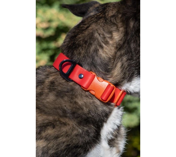 Scarlet Peaks Waterproof Dog Collar - 13 - 15 inch