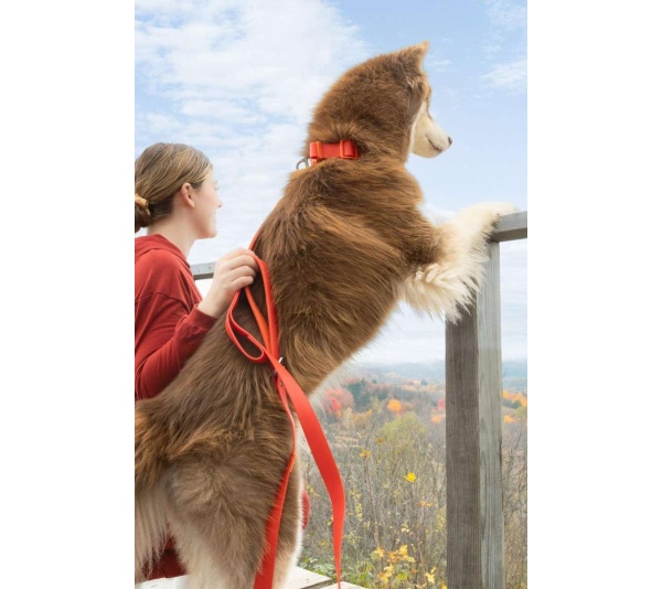 Scarlet Peaks Waterproof Dog Collar - 13 - 15 inch