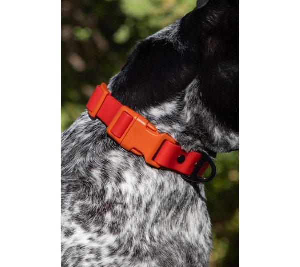 Scarlet Peaks Waterproof Dog Collar - 17 - 20 inch