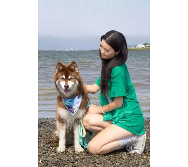 Sea Turtle Swim Dog Bandana - XL - 35in x 17in