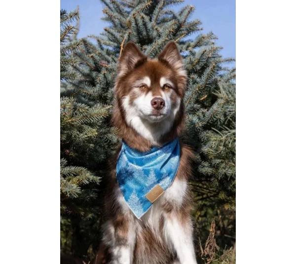 Siberian Spruce Dog Bandana - S/M - 18in x 10in