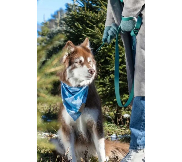 Siberian Spruce Dog Bandana - S/M - 18in x 10in