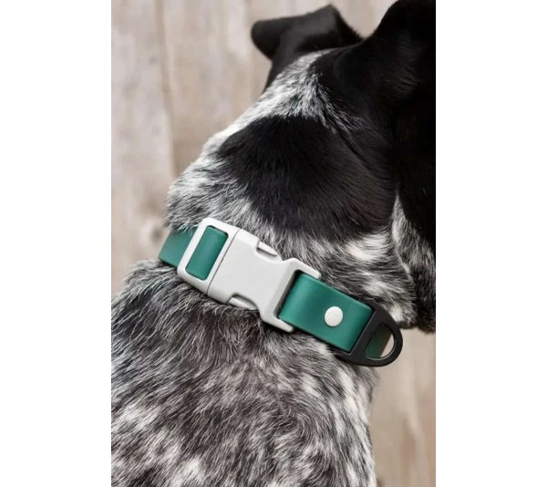 Siberian Spruce Waterproof Dog Collar - 17 - 19 inch
