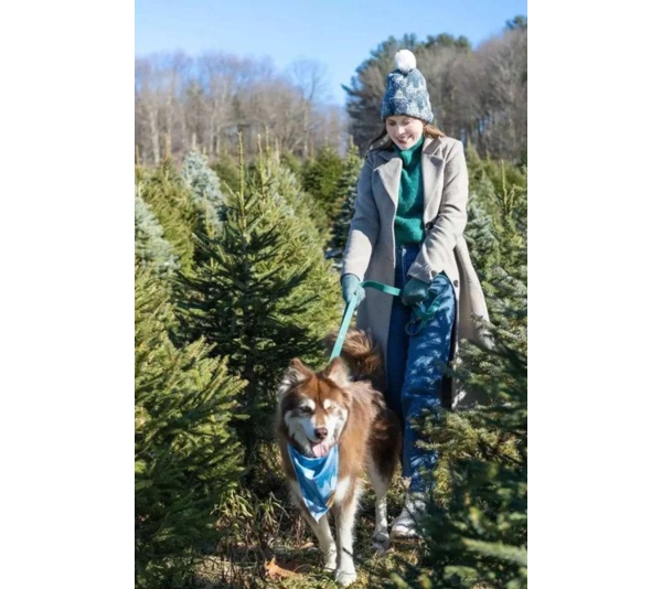 Siberian Spruce Waterproof Dog Collar - 19 - 21 inch