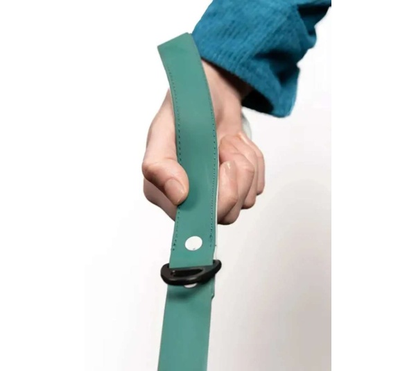 Green - Siberian Spruce Waterproof Dog Leash