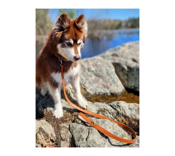 Brown-Red - Sierra Sunrise Vegan Leather Dog Leash