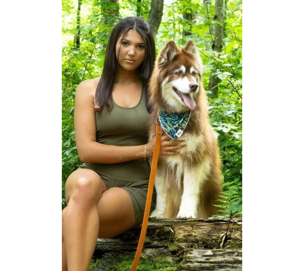 Sierra Sunrise Vegan Leather Dog Collar - 19 - 25 inch