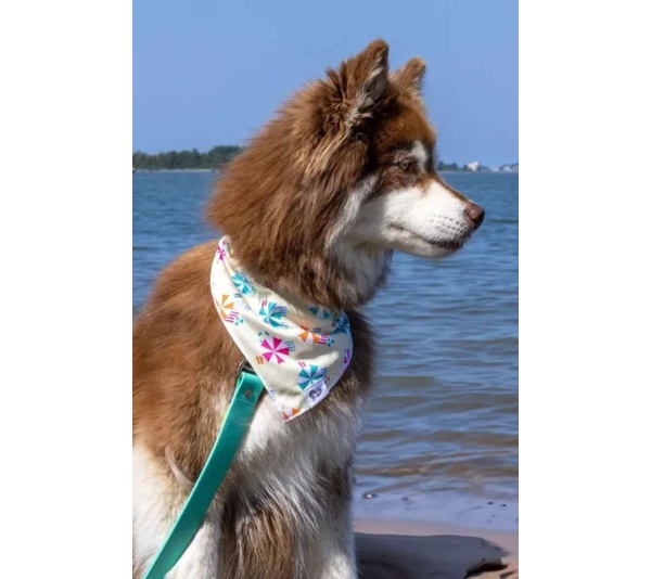 Sun & Shade Dog Bandana - M/L - 27in x 13in