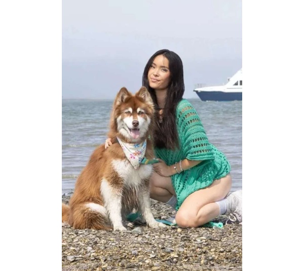 Sun & Shade Dog Bandana - M/L - 27in x 13in