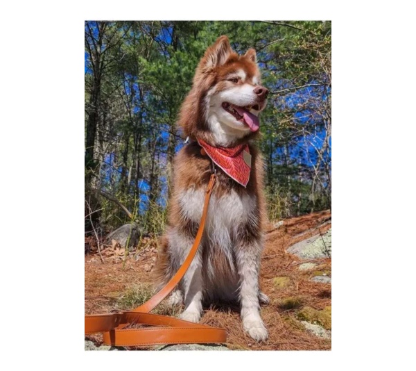 Twilight Trails Bandana - M/L - 27in x 13in