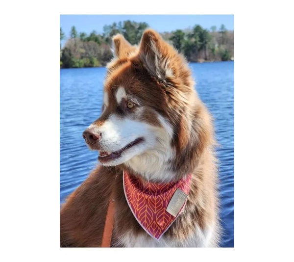 Twilight Trails Bandana - XL - 35in x 17in