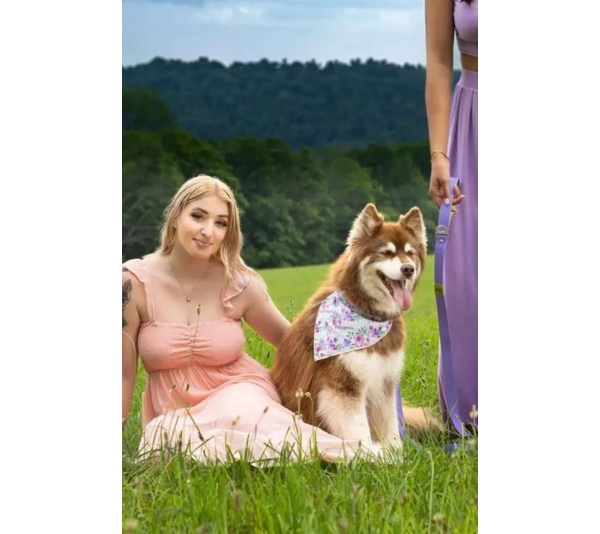 Wildflower Meadow Dog Bandana - M/L - 27in x 13in