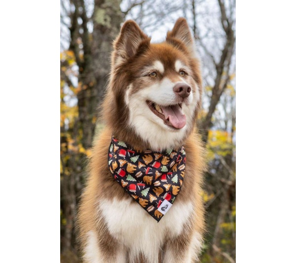 Woodland Tales Dog Bandana - XL - 35in x 17in