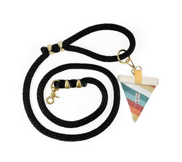 Sunset Retro-mod Stripe Premium Rope Dog Leash