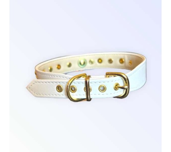 Popstar Studded Collar - 14"