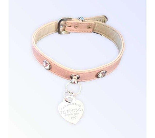 Pretty in Pink and Sniffany Collar - 18"