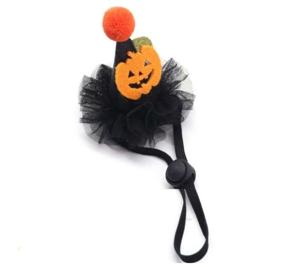 Pumpkin Witch Wizard Hat