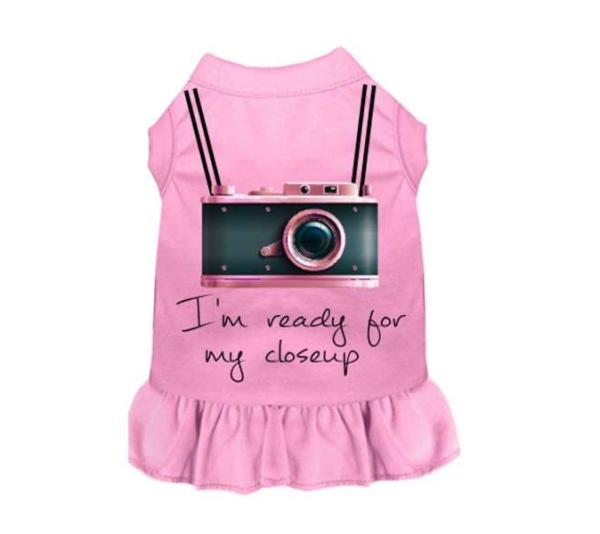 PINK - Ready For My Closeup - Small