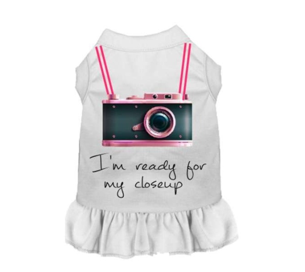 WHITE - Ready For My Closeup - Medium