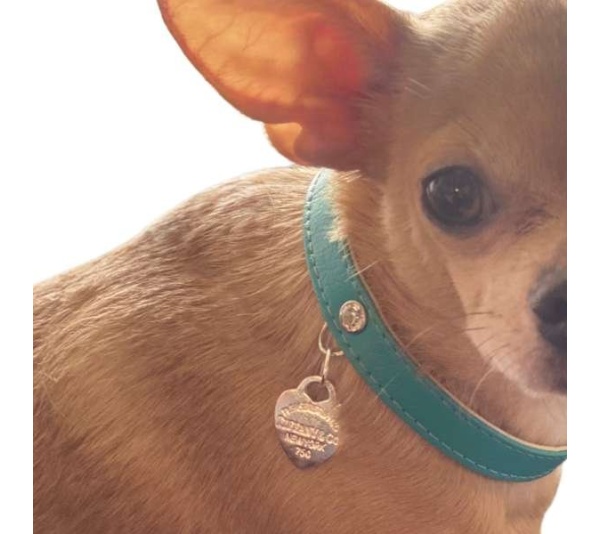 Return to Sniffany Charm Necklace - 20"