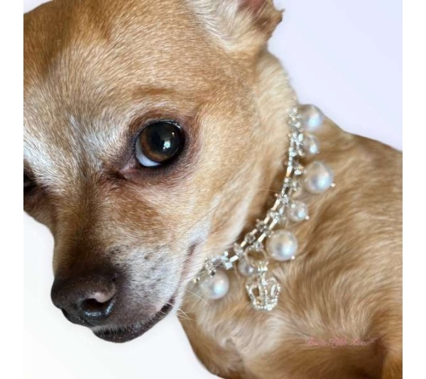 Rhinestone & Pearl Crown Necklace - 10"