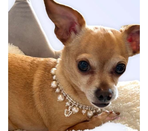 Rhinestone & Pearl Crown Necklace - 12"