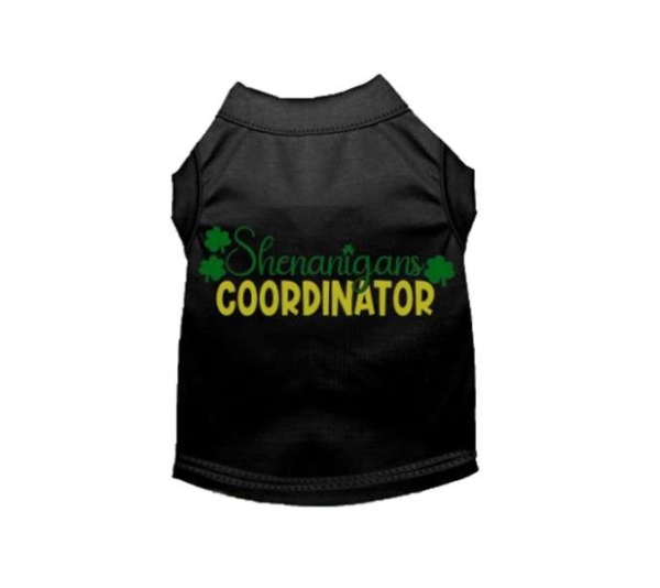 BLACK - Shenanigans Coordinator - X Large