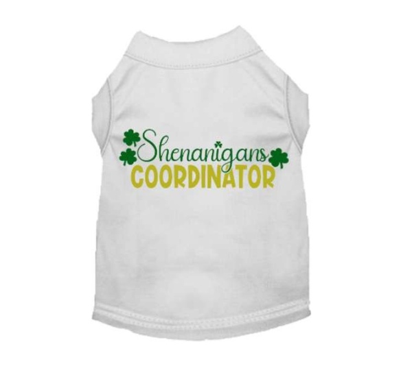 WHITE - Shenanigans Coordinator - 2X Large