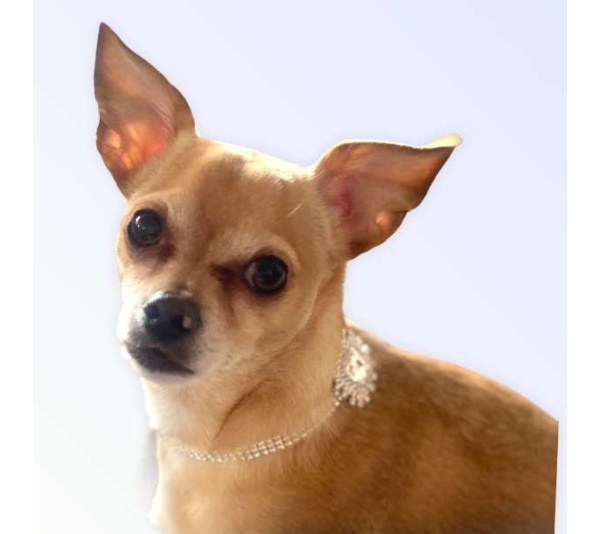 Silver Rectangle Burst Stone - Medium