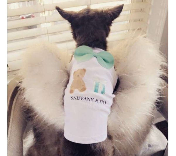 Sniffany Bear - 3X Large