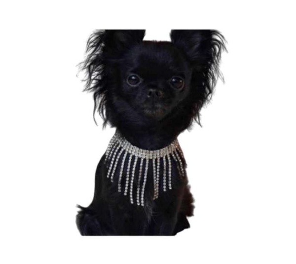 Sparkle Dior Necklace