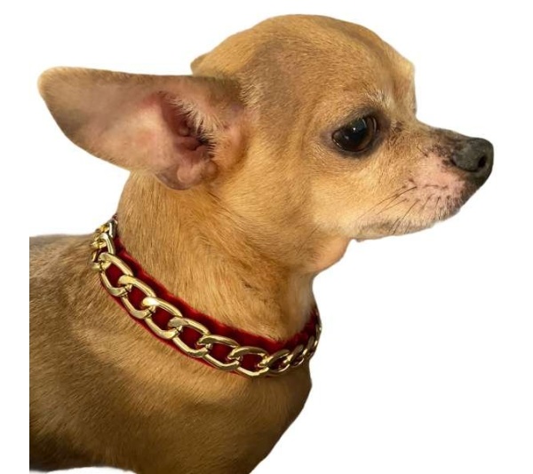 Burgundy - Gold Chain Velvet Collar - Large