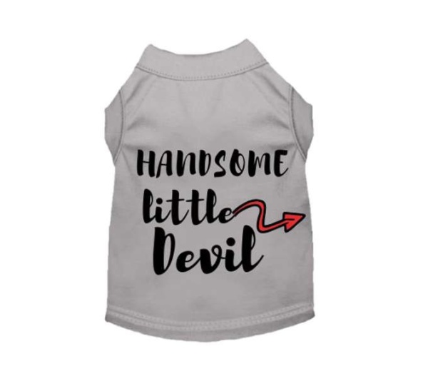 Gray - Handsome Little Devil - 2X Large