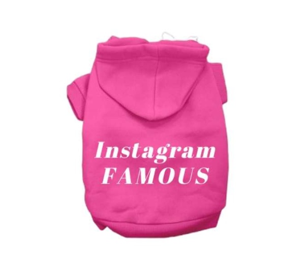 Pink - IG Famous Hoodie - Large