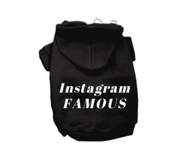Black - IG Famous Hoodie - 2X Large