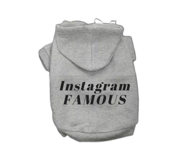 Grey - IG Famous Hoodie - X Small