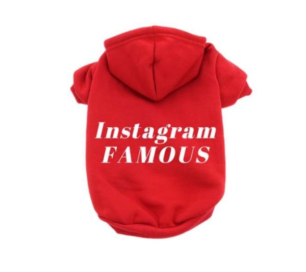Red - IG Famous Hoodie - Large
