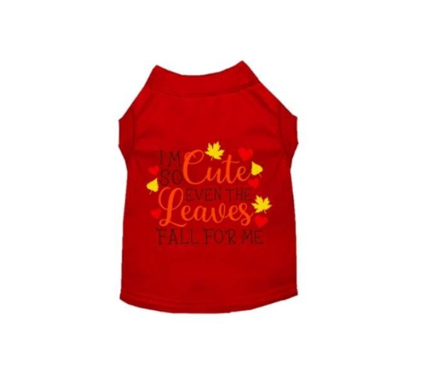 RED - Leaves Fall For Me - Medium