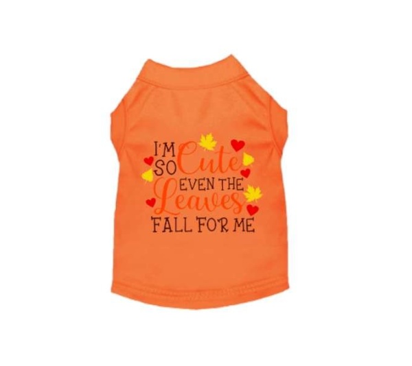 ORANGE - Leaves Fall For Me - X Small