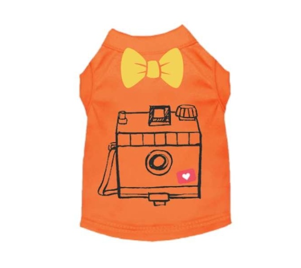 ORANGE - Let's take a selfie - X Large