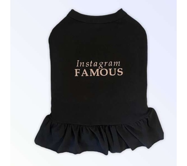IG Famous Dress - Medium