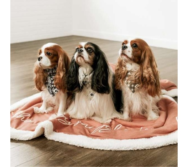 Rosewood Throw Blanket