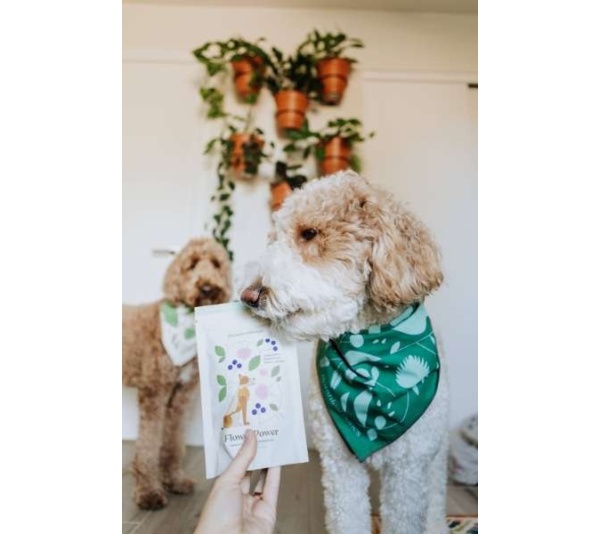 Flower Power - Superfood Dog Treats