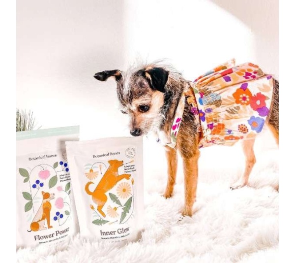 Inner Glow - Superfood Dog Treats