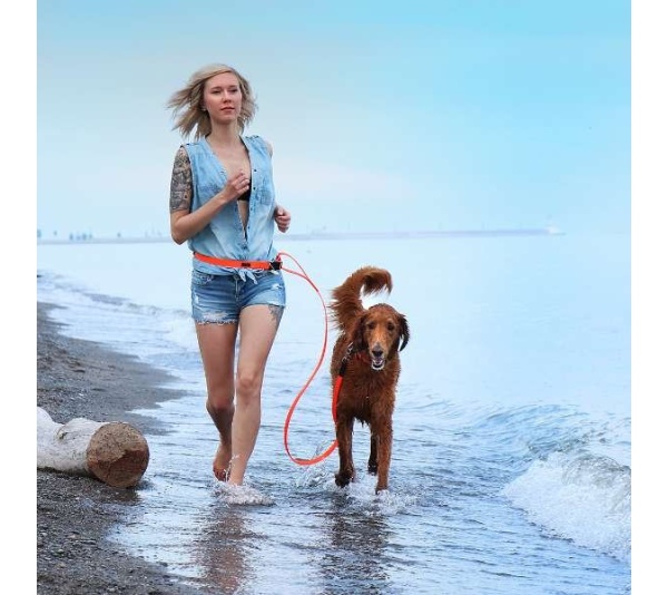 Blue - Boss Regular Leash - 3/4" x 6'