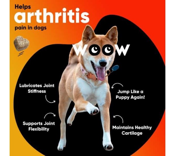 Dr Woow Hip and Joint Support Soft Chews