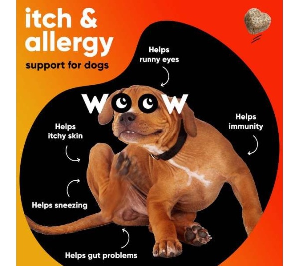 Dr Woow Allergy and Immunity Soft Chews