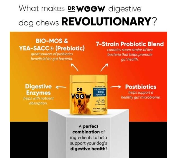 Dr Woow Digestion Soft Chews
